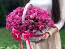 Розы Мисти Баблс в корзине L  