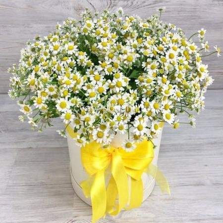 Букет ромашек  в шляпной коробке  