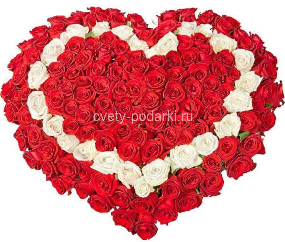 Сердце из 151 розы «Сердце в сердце»  
